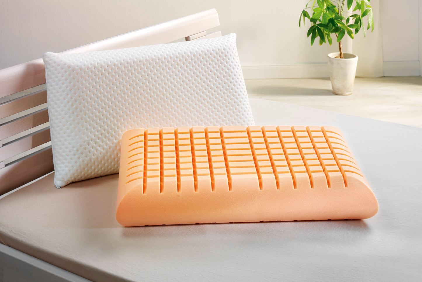 fan Nackenstützkissen Soja Dream